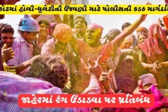 Police strict guidelines for Holi-Dhuleti celebrations in Rajkot Ban on throwing colours in public