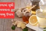 summer heatstroke home remedies